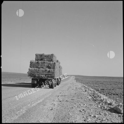 [Camion transportant la récolte d'alfa à Aïn Skhouna.]