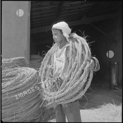 [Jeune garçon algérien portant des cordes d'alfa dans l'usine de Krafallah.]