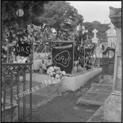 [Tombe décorée d'inscriptions et banderoles de l'OAS dans un cimetière d'Oran.]