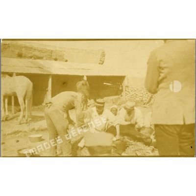 [Le vétérinaire du régiment de la Légion étrangère soigne un poulain au Maroc].<br>