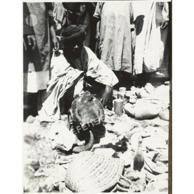 5 juin 1936. Rabat-Marrakech. Voyage de fin de stage du cours des affaires indigènes (5-13 juin 1936). [...] [légende d'origine]