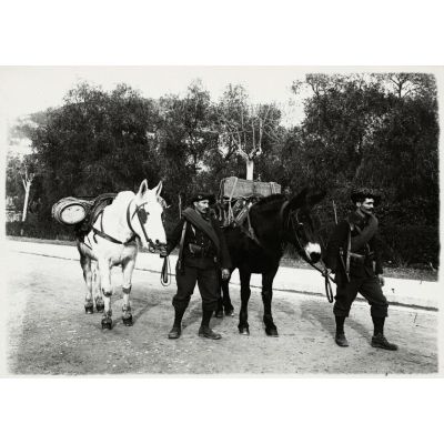 Chasseur - Deux soldats du 23e BCP avec leurs mulets sur une route de campagne. [légende d'origine]