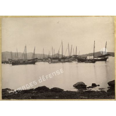 [Chine, 1870-1880. Jonques et sampans au mouillage dans le golfe du Petchili].