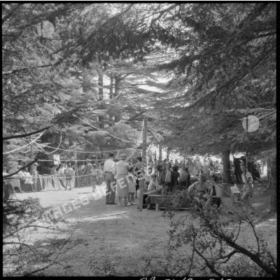 Vue d'ensemble de la kermesse d'une colonie de vacances dans les bois de Chréa.