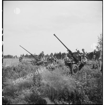 Lors d'une école à feu du 411e RAAA  (régiment d'artillerie antiaérienne) de la DMC (division de marche de Constantine), deux canons de 40 mm Bofors sont mis en batterie.