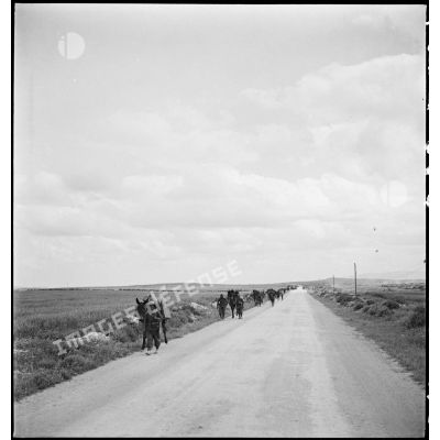 Une colonne hippomobile du 67e RAA (régiment d'artillerie d'Afrique) de la DMC (division de marche de Constantine) monte en ligne dans le secteur d'Ousseltia.