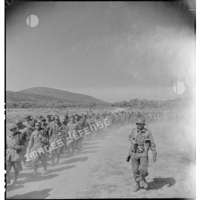 Colonne de prisonniers italiens escortés par des soldats du CFA (Corps franc d'Afrique) dans les environs de Bizerte.