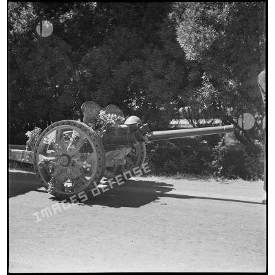 Canon de 47 mm antichar, modèle 1937, monté sur pneumatiques à chambre increvable, du 65e RAA (régiment d'artillerie d'Afrique) sur une route menant à Blida.
