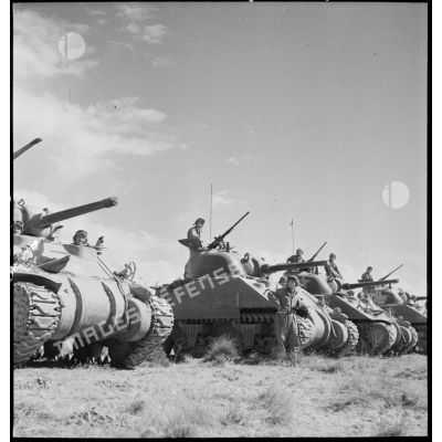 Des chars Sherman M4 d'une unité blindée participent à une manoeuvre d'entraînement dans le Sud algérien, en vue de leur engagement en Italie au sein du CEF (corps expéditionnaire français).