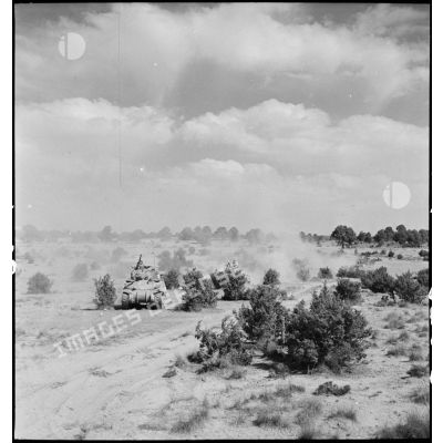 Un char Sherman M4 progresse lors d'une manoeuvre d'entraînement dans le Sud algérien, en vue de l'engagement de l'unité en Italie au sein du CEF (corps expéditionnaire français).