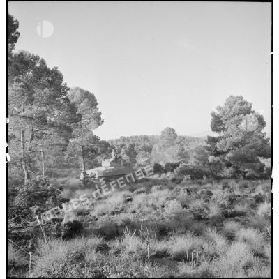 Un char Sherman M4 progresse lors d'une manoeuvre d'l'entraînement dans une région du Sud algérien, en vue de l'engagement de l'unité en Italie au sein du CEF (corps expéditionnaire français).