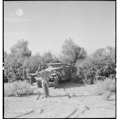 Camouflage d'un scout-car M3A1 du 3e RSAR (régiment de spahis algériens de reconnaissance) au cours d'une manoeuvre du CEF (corps expéditionnaire français) dans le Sud algérien.