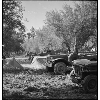 Véhicules (jeep Ford GPW, Dodge T214, scout-car M3A1) du 3e RSAR (régiment de spahis algériens de reconnaissance) dans un campement lors d'une manoeuvre d'entraînemnet du CEF (corps expéditionnaire français) dans le Sud algérien.