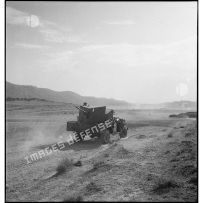Un 37 mm autocanon M6 en progression lors d'une manoeuvre dans la région de Batna.