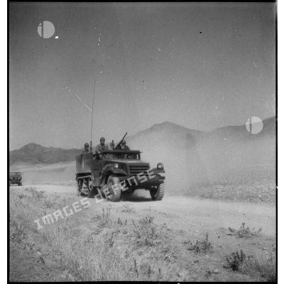 Half-track M3 du 3e RSAR en progression lors d'une manoeuvre dans la région de Batna.