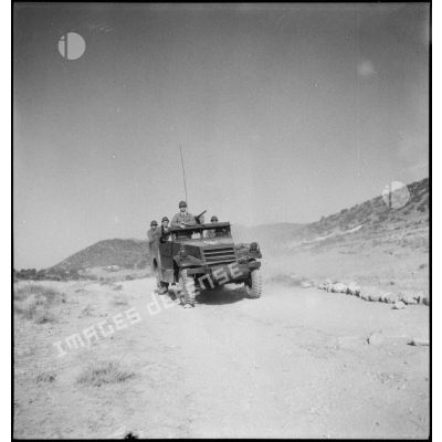 Scout-car M3A1 du 3e RSAR en patrouille de reconnaissance lors d'une manoeuvre dans la région de Batna.