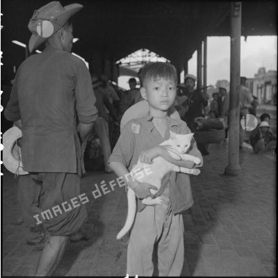 Un jeune garçon et son chat sur un quai de la gare d'Hanoï, lors de l'évacuation de la population.