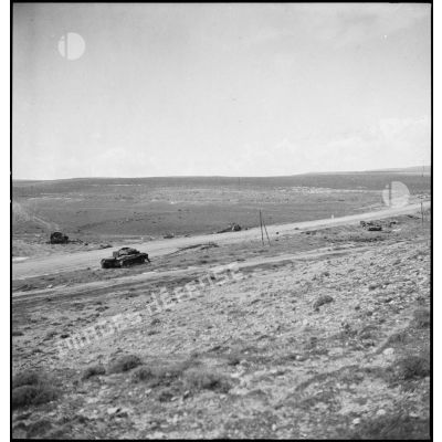 La campagne de Tunisie : épaves de chars allemands et britanniques sur le champ de bataille de Kasserine.