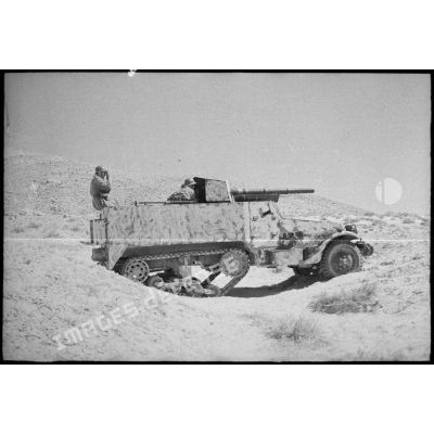 Un chasseur de chars de l'escadron d'Anglejean du 9e RCA (régiment de chasseurs d'Afrique), déployé dans les djebels Bou Jerra et El Asker, au nord du Chott el Jerid. Ce véhicule consiste en un half-track M3, équipé d'un canon de 75 mm.