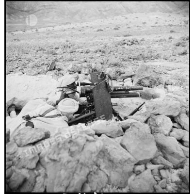 Mise en batterie d'un canon de 37 mm à tir rapide, modèle 1916, par des méharistes du groupement du capitaine Paganelli dans le secteur du FSEA (Front sud-est algérien), entre le col de Bir el Asker et le Chott el Jerid.