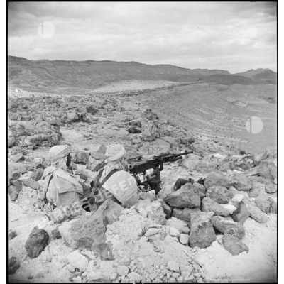 Mise en batterie d'une mitrailleuse Hotchkiss, modèle 1914, par des méharistes du groupement du capitaine Paganelli dans le secteur du FSEA (Front sud-est algérien), entre le col de Bir el Asker et le Chott el Jerid.
