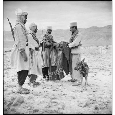 Des méharistes du groupement du capitaine Paganelli examinent un manteau italien dans le secteur du FSEA (Front sud-est algérien).