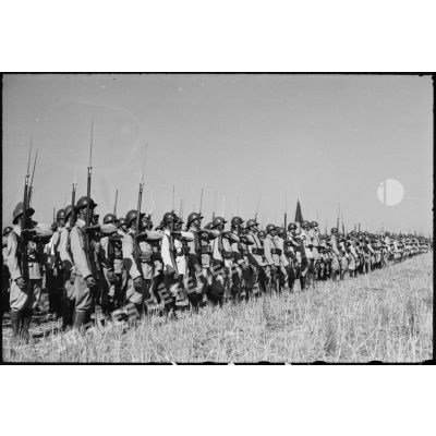 Des tirailleurs du 1er RTA (régiment de tirailleurs algériens) sont au présentez-armes lors d'une prise d'armes présidée par les généraux Georges et Koeltz.