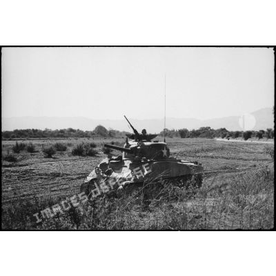 Progression d'un char moyen Sherman M4 d'une unité blindée du CEF (corps expéditionnaire français) lors d'un entraînement dans une région désertique algérienne.