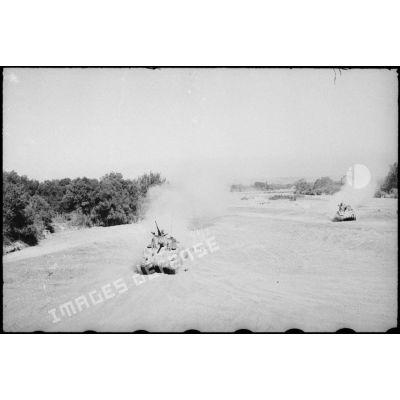 Progression de chars moyens Sherman M4 d'une unité blindée du CEF (corps expéditionnaire français) dans le lit d'un oued en Algérie lors d'un entraînement.
