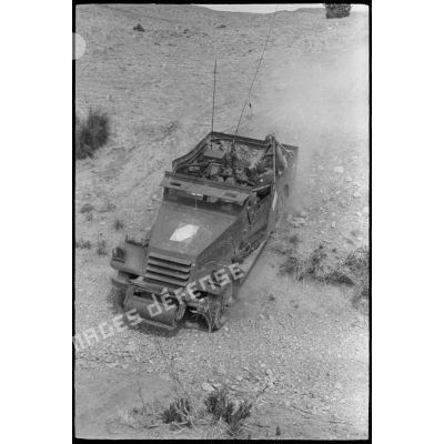 Progression d'un scout-car M3 au cours d'une manoeuvre du CEF (corps expéditionnaire français) en Algérie.