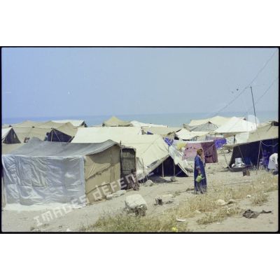 Un camp de réfugiés palestiniens vers Saïda.
