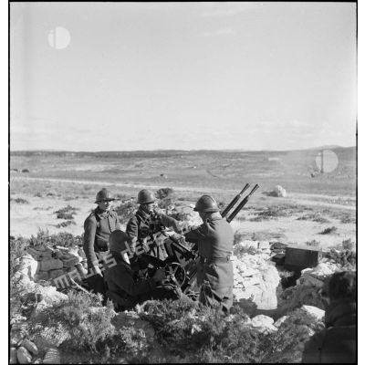 La campagne de Tunisie : des artilleurs du 411e (régiment d'artillerie antiaérienne) servent une mitrailleuse antiaérienne Hochkiss 13,2 mm sur affût bitube.