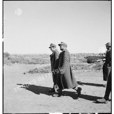 Deux prisonniers allemands, déserteurs du corps expéditionnaire de l'Afrikakorps, sont escortés vers le poste de commandement d'un secteur français.