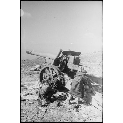 Des goumiers du 2e groupe de tabors marocains (GTM) examinent un canon de 152 mm, abandonné par les Allemands à l'issue des combats au col de Teghime.