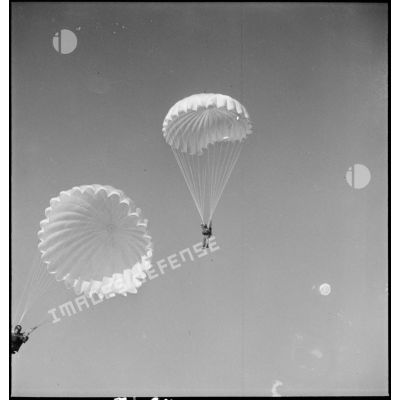 Un parachutiste en plein vol lors d'un entraînement.