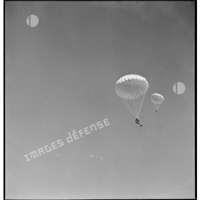 Des parachutistes en plein vol lors d'un entraînement.