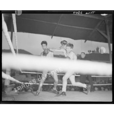 Combat de boxe interallié opposant Addadaine et Steinmuller.