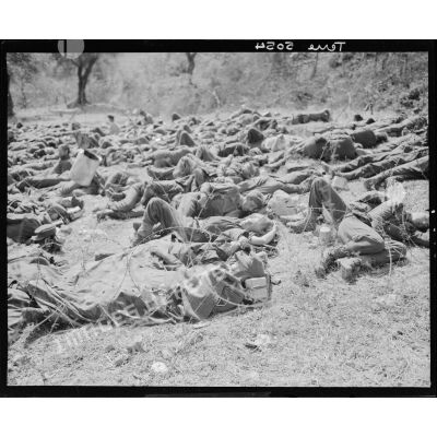 Les prisonniers allemands sont allongés par terre à Espéria.
