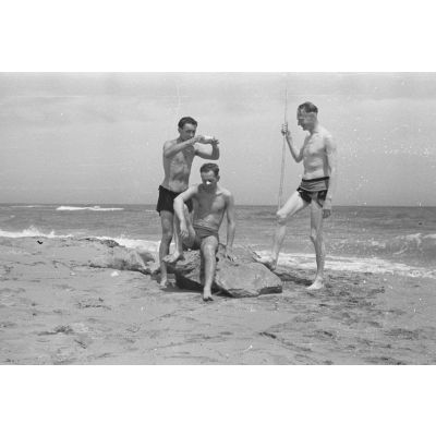 Sur une plage libyenne, trois reporters de la 7e compagnie de propagande de l'armée de l'air allemande (Luftwaffe Kriegsberichter Kompanie 7).