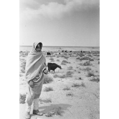 Un berger et ses chèvres en Libye.