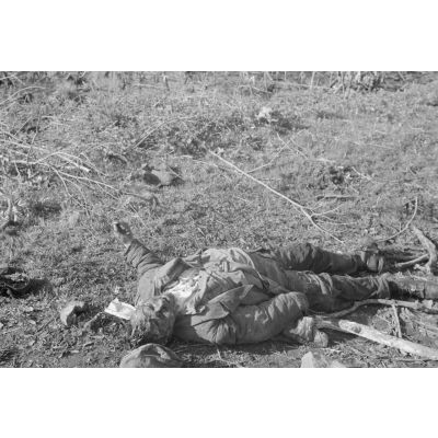 Cadavres de soldats de l'Armée rouge ou de partisans.