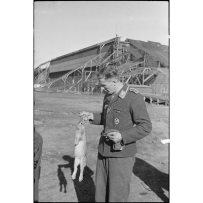 Sur le terrain de Gardermoen, l'adjudant-chef (Oberfeldwebel) Günther Naumann,  membre de la section de propagande aéroportée tient un lapin. Derrière lui, un hangar camouflé du terrain d'aviation.