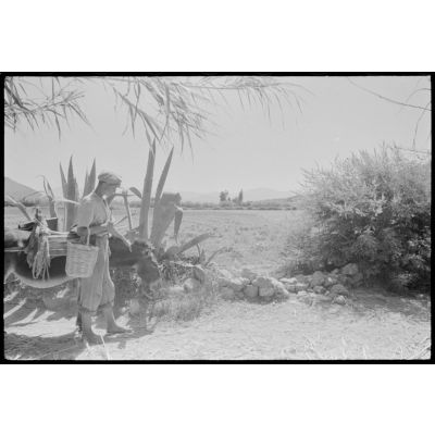 Un habitant de Naxos accompagné de son âne pose devant une agave.