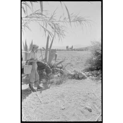 Un habitant de Naxos accompagné de son âne pose devant une agave.