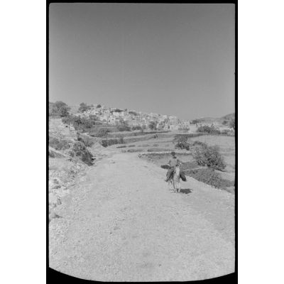 Un village entouré par des cultures en terrasse sur l'île de Naxos.
