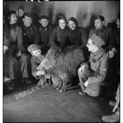Photographie de groupe de soldats posant avec un sanglier dans un ouvrage de la ligne Maginot.
