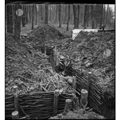 Des soldats de la 4e armée aménagent un réseau de tranchées dans un bois.