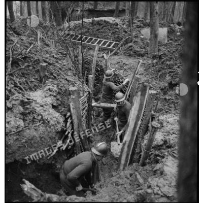 Des soldats de la 4e armée aménagent un réseau de tranchées dans un bois.