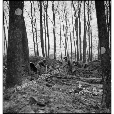 Des soldats de la 4e armée creusent une tranchée dans un bois.