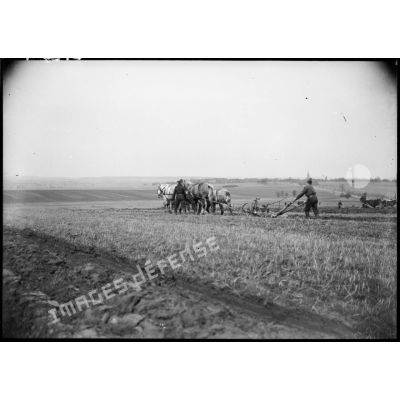 Des soldats réquisitionnés labourent un champ à l'aide d'une charrue portée dans une zone évacuée de la 4e armée.